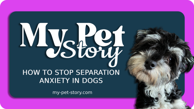 How to Stop Separation Anxiety in Dogs