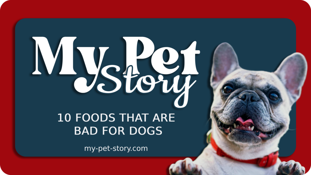 10 Foods That Are Bad for Dogs