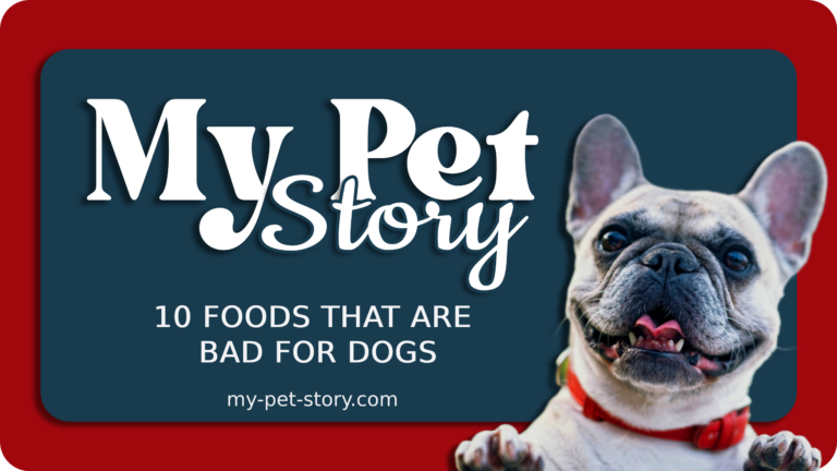 10 Foods That Are Bad for Dogs