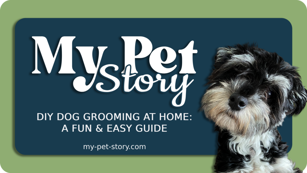 DIY Dog Grooming at Home- A Fun & Easy Guide