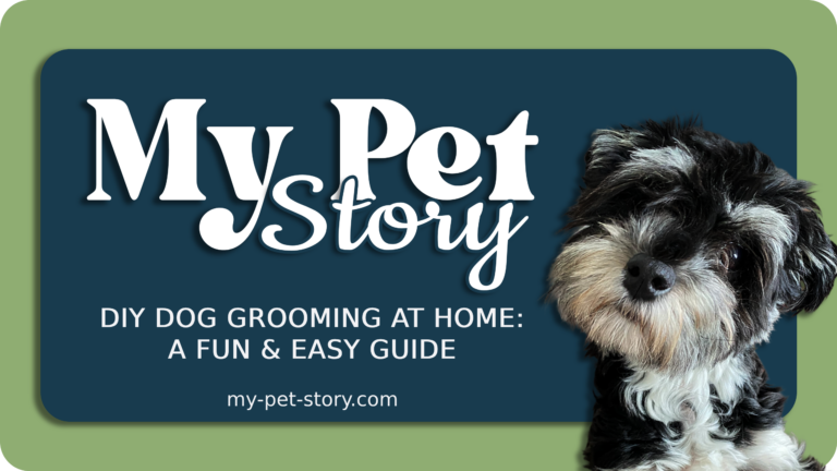 DIY Dog Grooming at Home- A Fun & Easy Guide