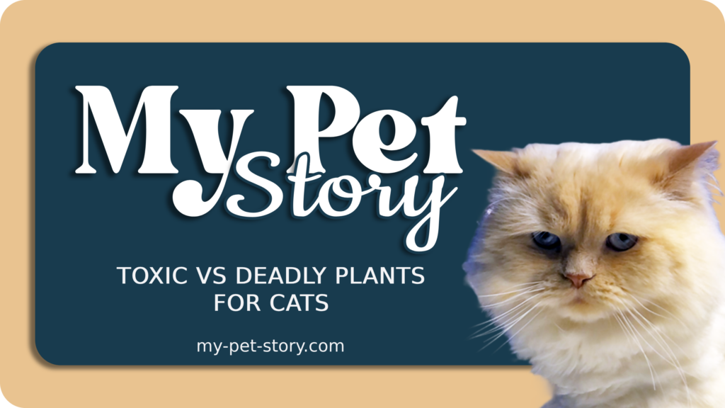 Toxic vs Deadly Plants for Cats