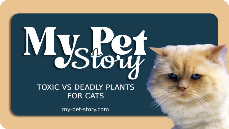 Toxic vs Deadly Plants for Cats
