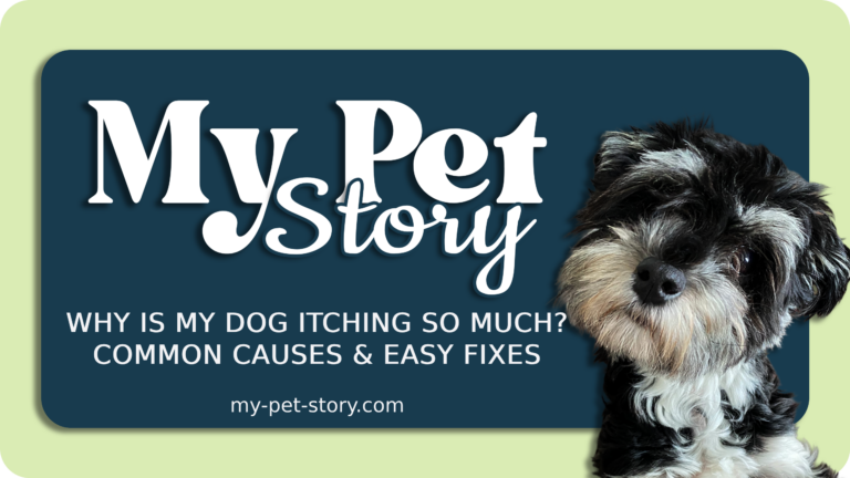Why is My Dog Itching So Much?