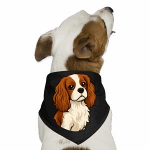 Cavalier King Dog Bandana